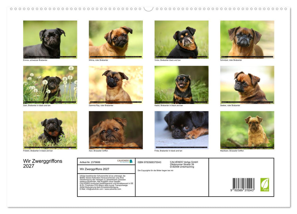 Wir Zwerggriffons 2027 (CALVENDO Premium Wandkalender 2027)