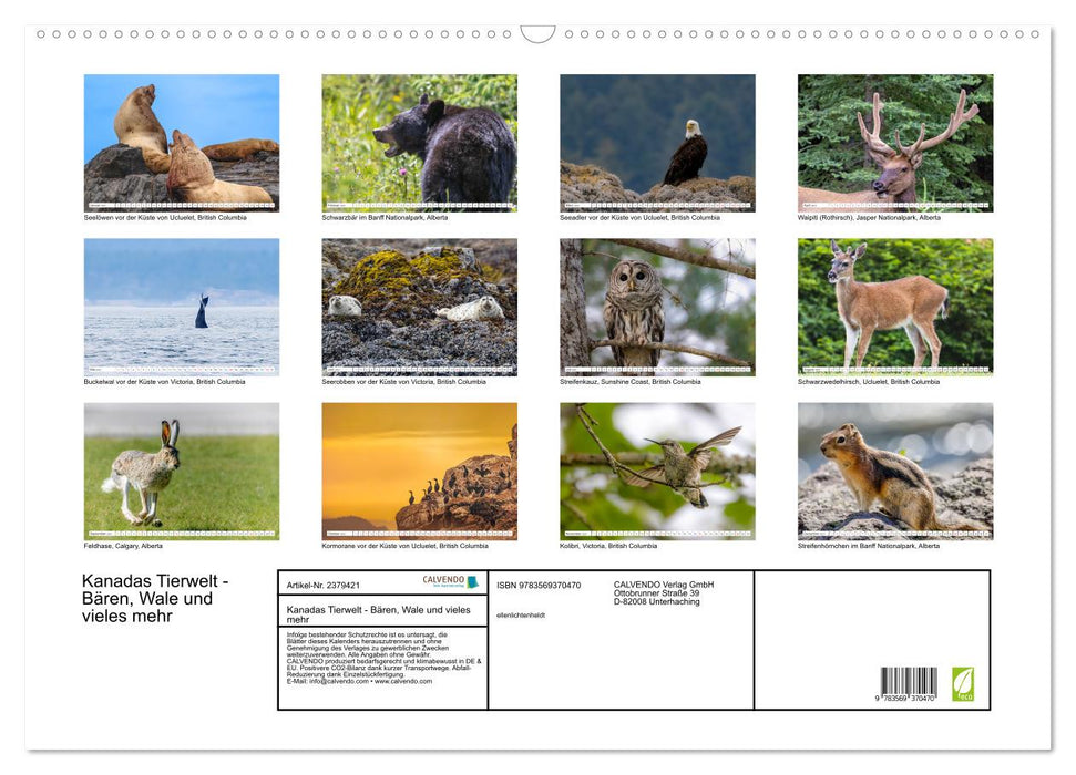 Kanadas Tierwelt - Bären, Wale und vieles mehr (CALVENDO Wandkalender 2027)