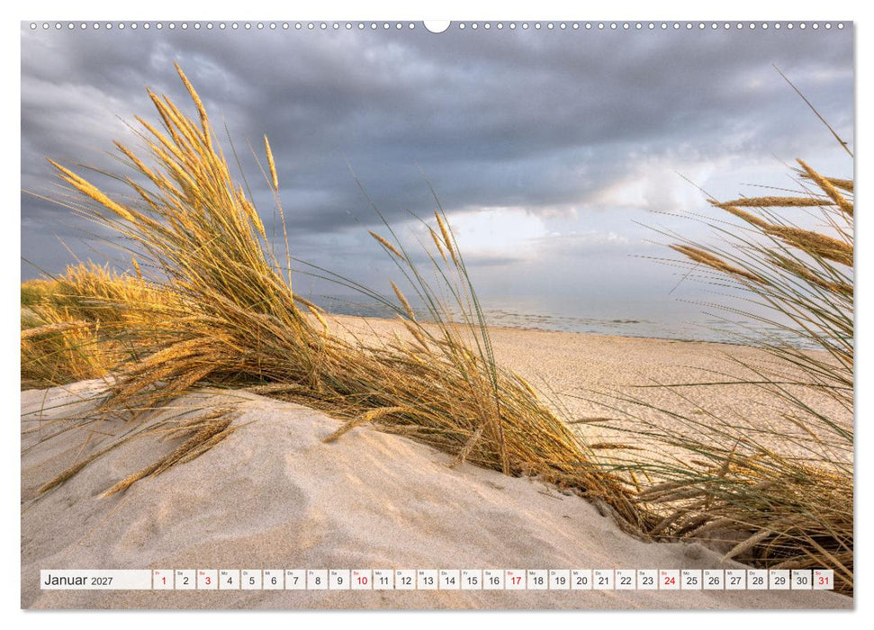 Blåvand - Dänemarks Paradies am Nordseestrand (CALVENDO Premium Wandkalender 2027)