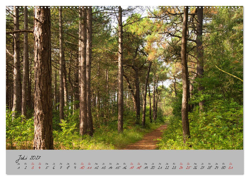 Streifzug durch Nordholland (CALVENDO Premium Wandkalender 2027)