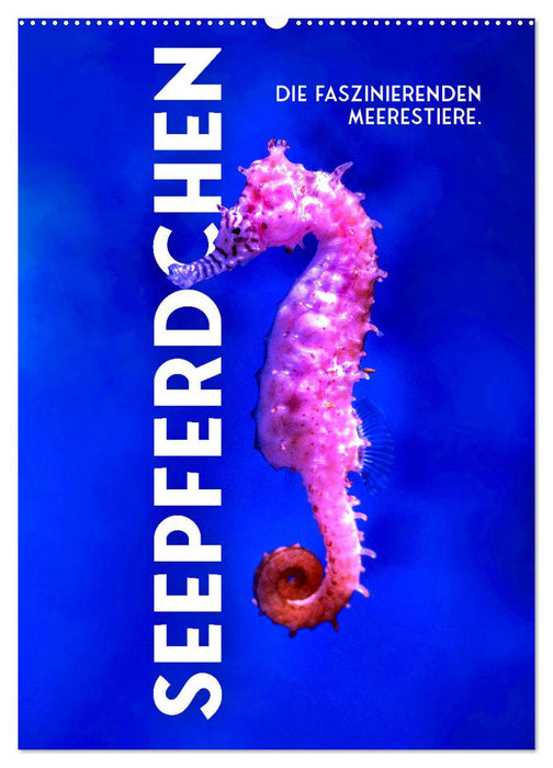Seepferdchen - Die faszinierende Meerestiere. (CALVENDO Wandkalender 2027)