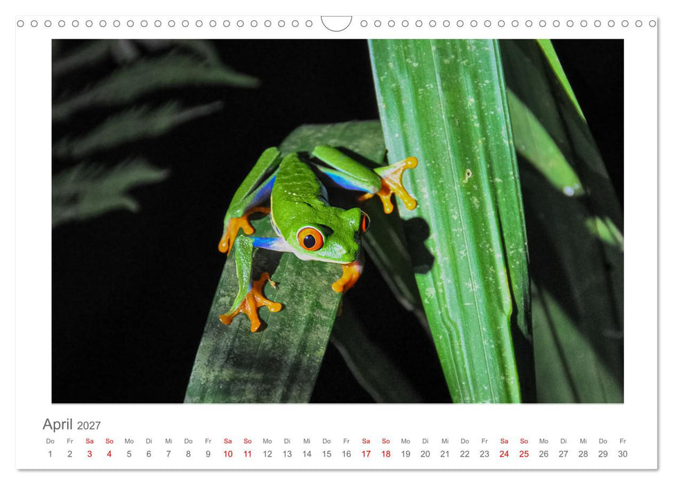 Costa Rica - unterwegs mit Julia Hahn (CALVENDO Wandkalender 2027)