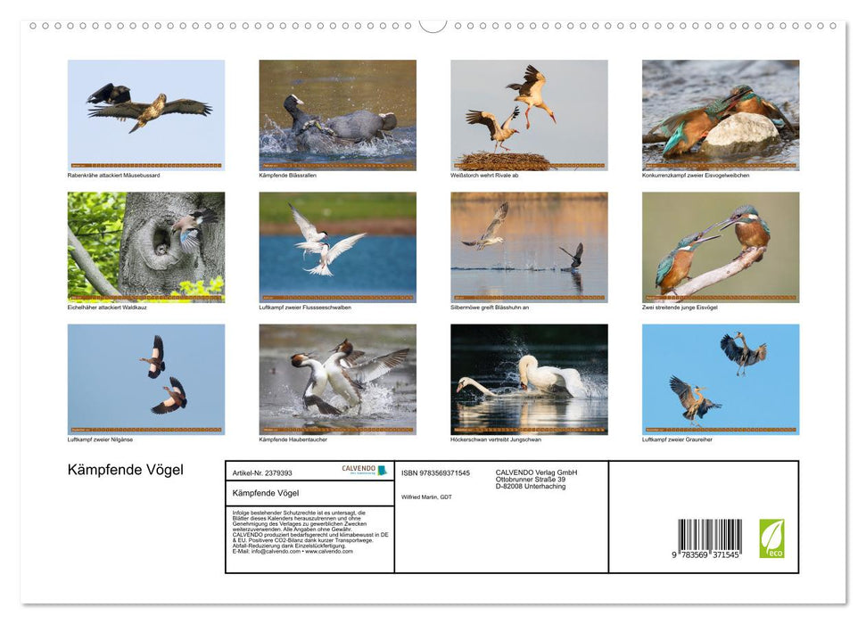 Kämpfende Vögel (CALVENDO Premium Wandkalender 2027)