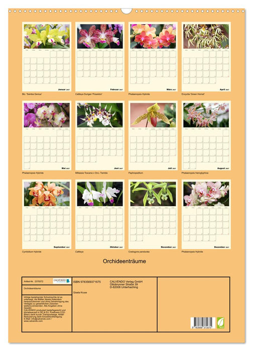Orchideenträume (CALVENDO Wandkalender 2027)