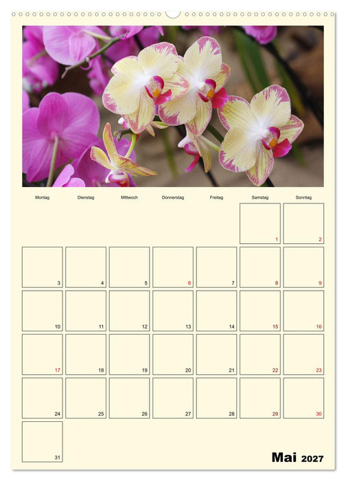Orchideenträume (CALVENDO Wandkalender 2027)