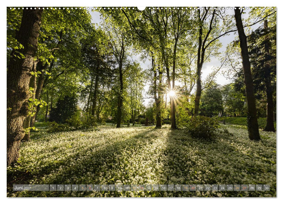 Naturparadies Pfälzerwald (CALVENDO Premium Wandkalender 2027)