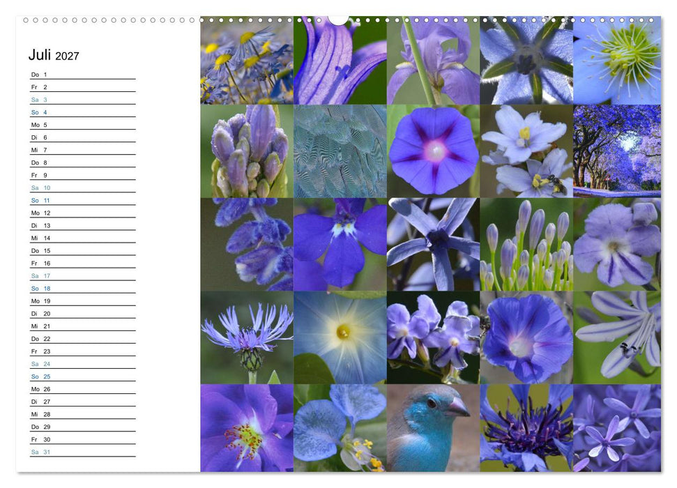Farbenkaleidoskop (CALVENDO Premium Wandkalender 2027)