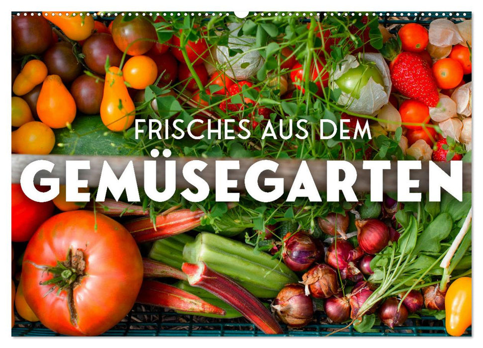 Frisches aus dem Gemüsegarten (CALVENDO Wandkalender 2027)