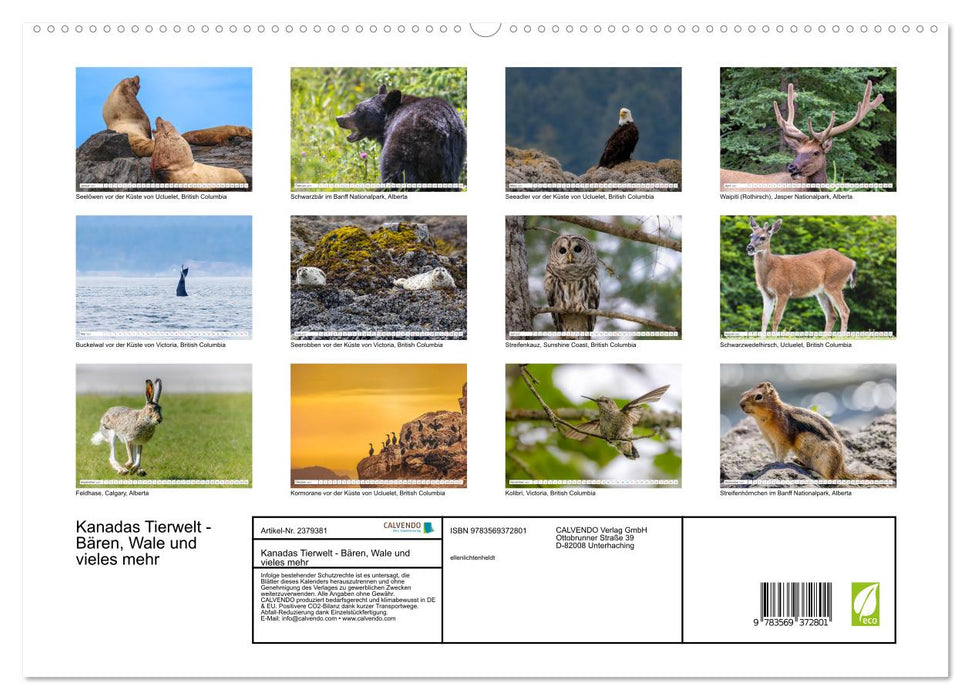 Kanadas Tierwelt - Bären, Wale und vieles mehr (CALVENDO Premium Wandkalender 2027)
