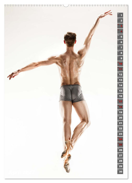 Sinneseindruck Ballett (CALVENDO Premium Wandkalender 2027)