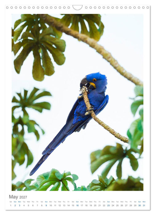 Pantanal Wildlife Photography (CALVENDO Monthly Calendar 2027)