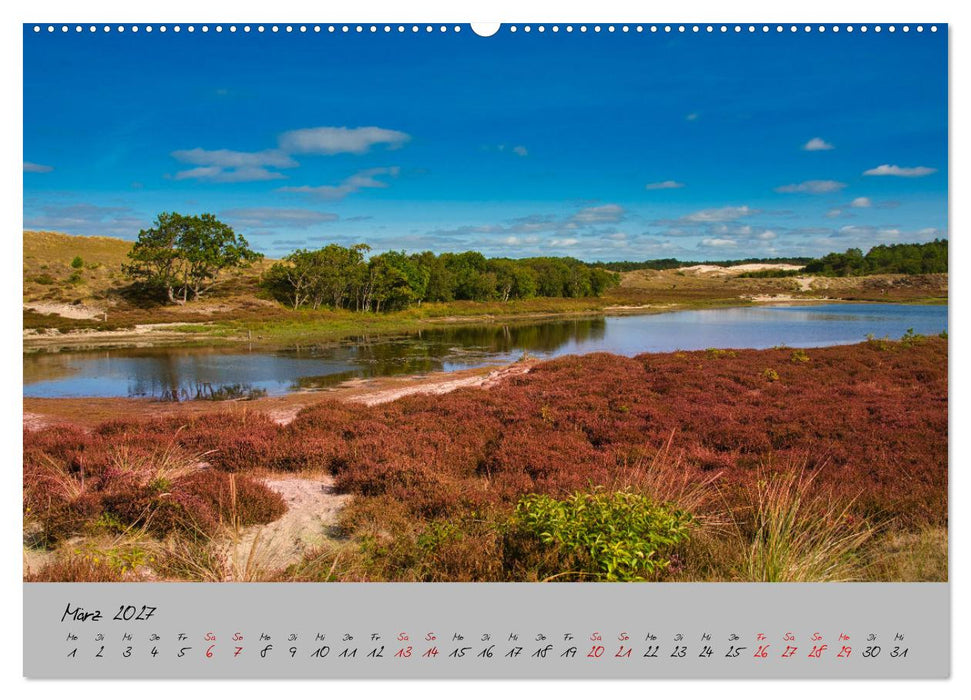 Streifzug durch Nordholland (CALVENDO Wandkalender 2027)