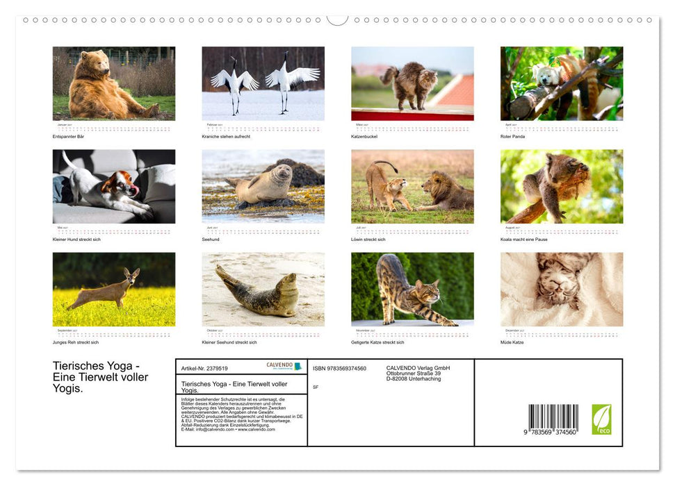 Tierisches Yoga - Eine Tierwelt voller Yogis. (CALVENDO Premium Wandkalender 2027)