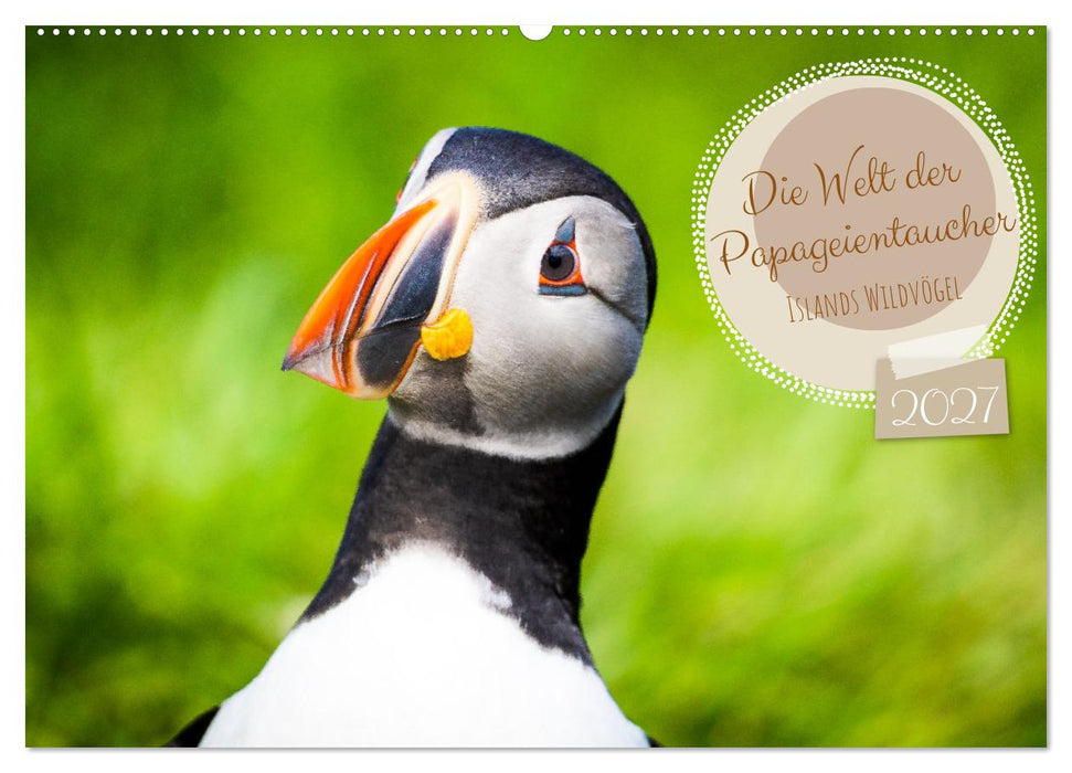 Die Welt der Papageientaucher - Islands Wildvögel (CALVENDO Wandkalender 2027)