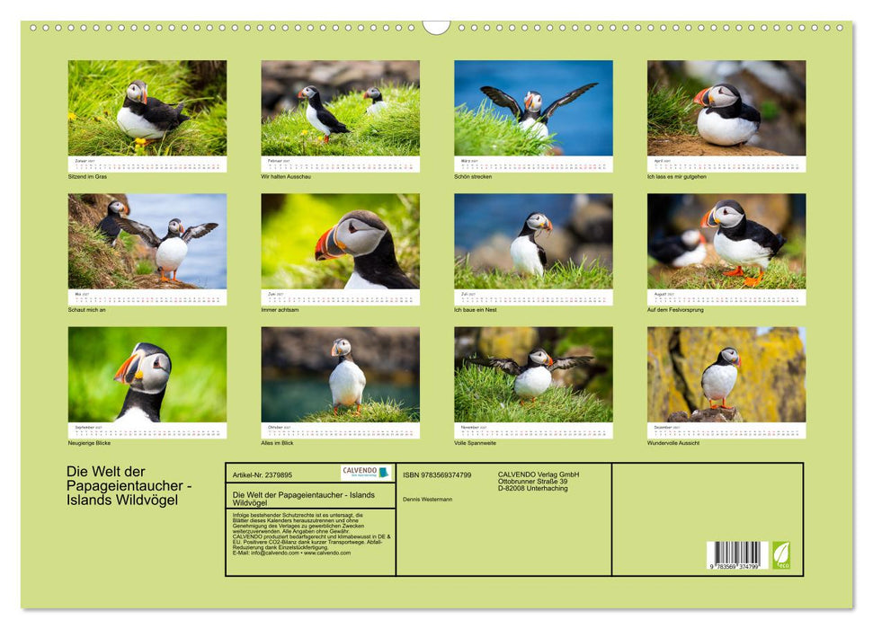 Die Welt der Papageientaucher - Islands Wildvögel (CALVENDO Wandkalender 2027)