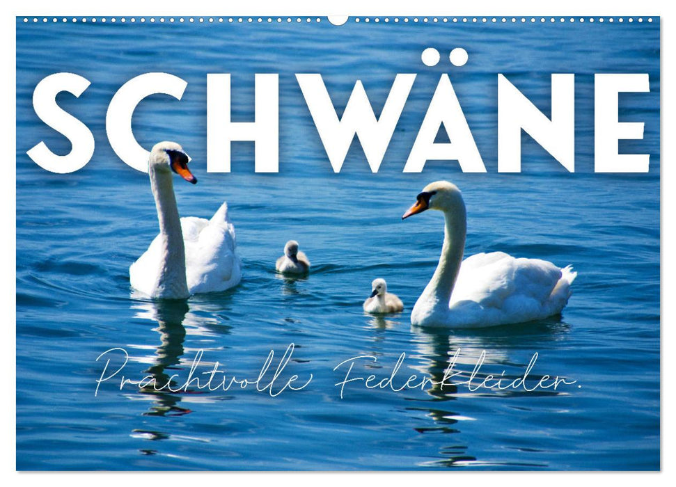 Schwäne - Prachtvolle Federkleider. (CALVENDO Wandkalender 2027)