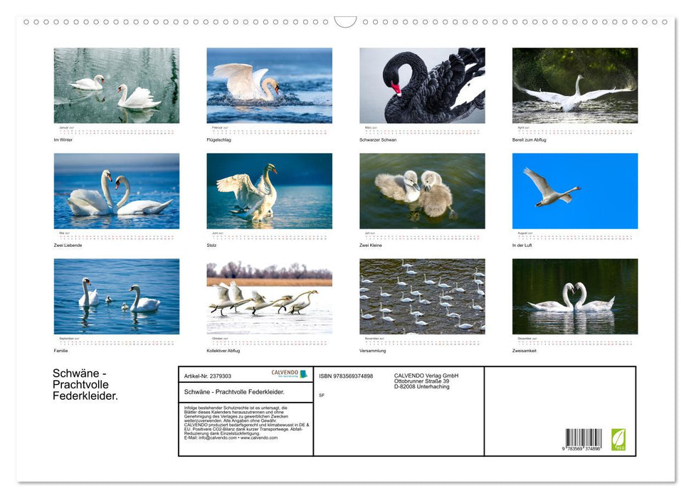 Schwäne - Prachtvolle Federkleider. (CALVENDO Wandkalender 2027)