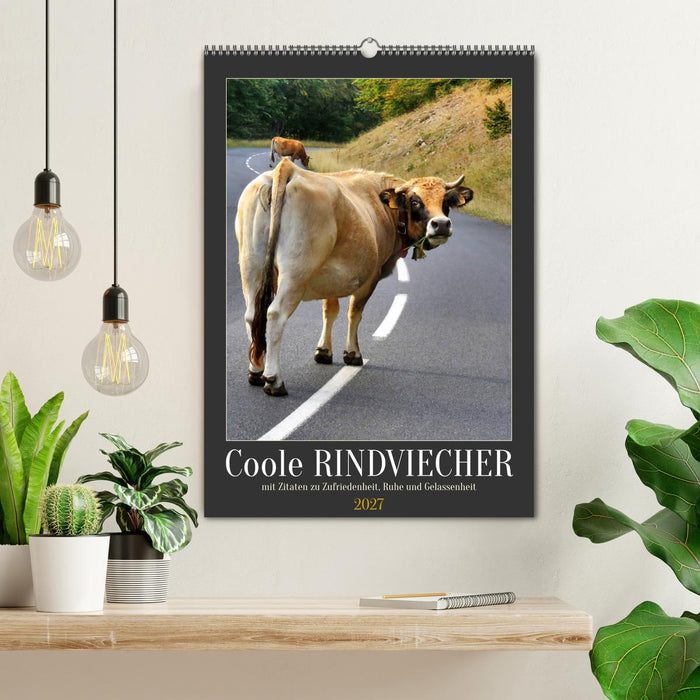 Coole Rindviecher (CALVENDO Wandkalender 2027)