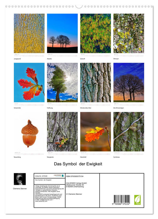 Das Symbol der Ewigkeit (CALVENDO Premium Wandkalender 2027)