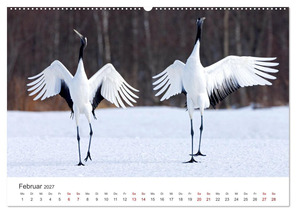 Tierisches Yoga - Eine Tierwelt voller Yogis. (CALVENDO Wandkalender 2027)