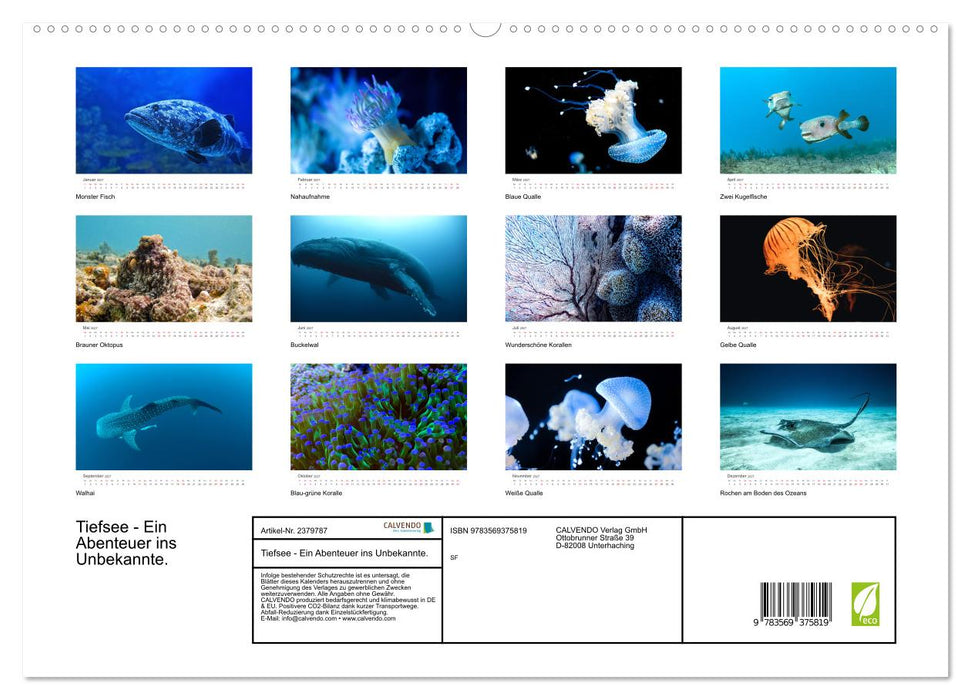 Tiefsee - Ein Abenteuer ins Unbekannte. (CALVENDO Premium Wandkalender 2027)