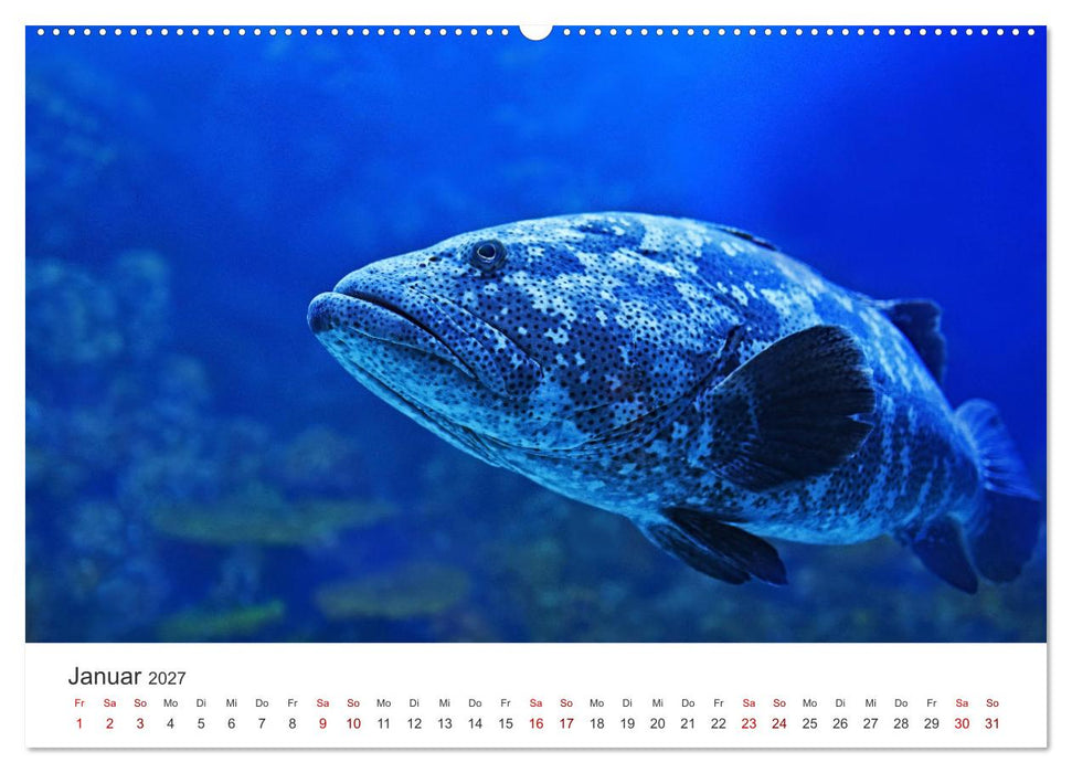Tiefsee - Ein Abenteuer ins Unbekannte. (CALVENDO Premium Wandkalender 2027)