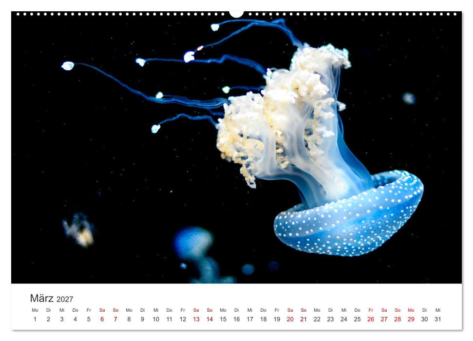 Tiefsee - Ein Abenteuer ins Unbekannte. (CALVENDO Premium Wandkalender 2027)