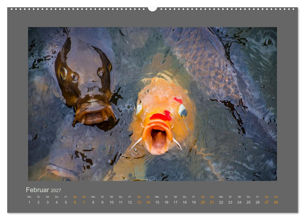 Das Jahr, das Dir das Glück bringt (CALVENDO Wandkalender 2027)