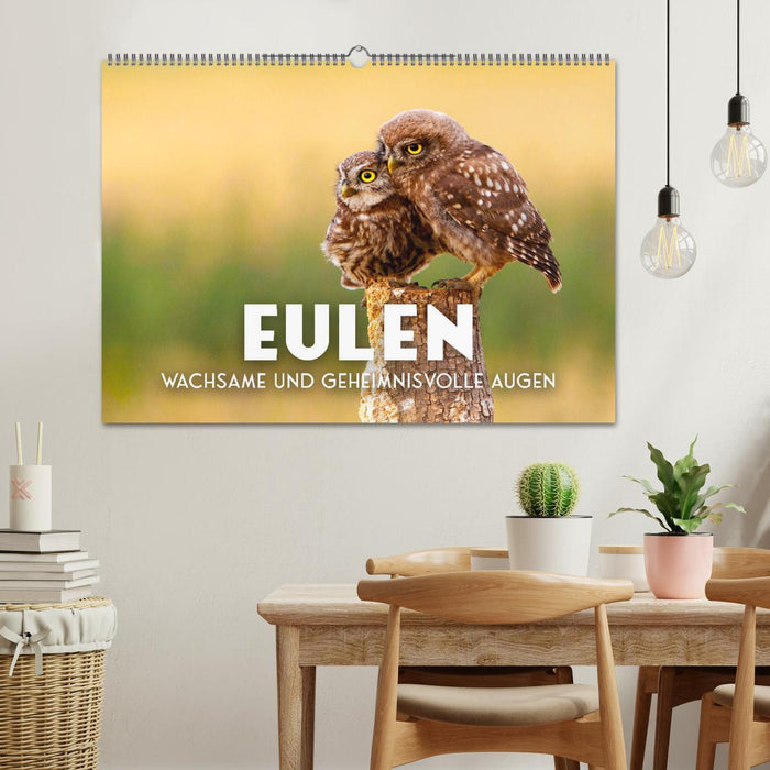 Eulen - Wachsame und geheimnisvolle Augen (CALVENDO Wandkalender 2027)