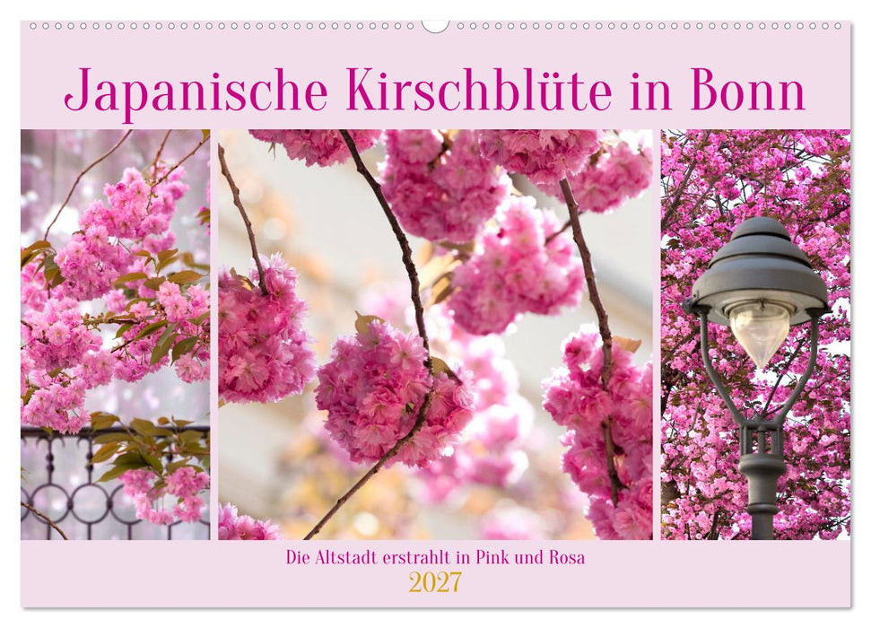 Japanische Kirschblüte in Bonn (CALVENDO Wandkalender 2027)