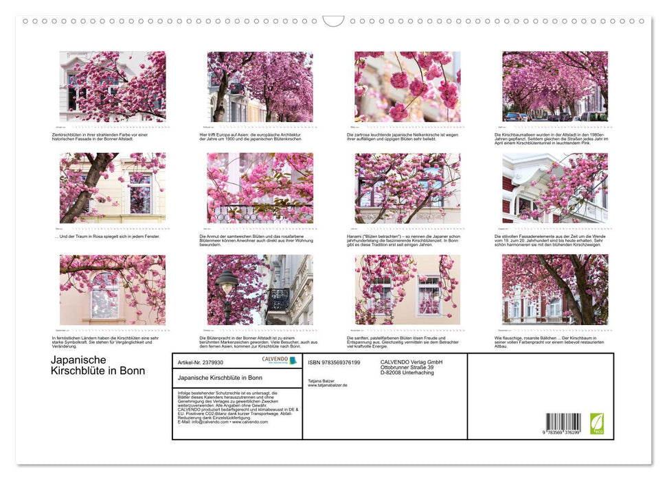Japanische Kirschblüte in Bonn (CALVENDO Wandkalender 2027)