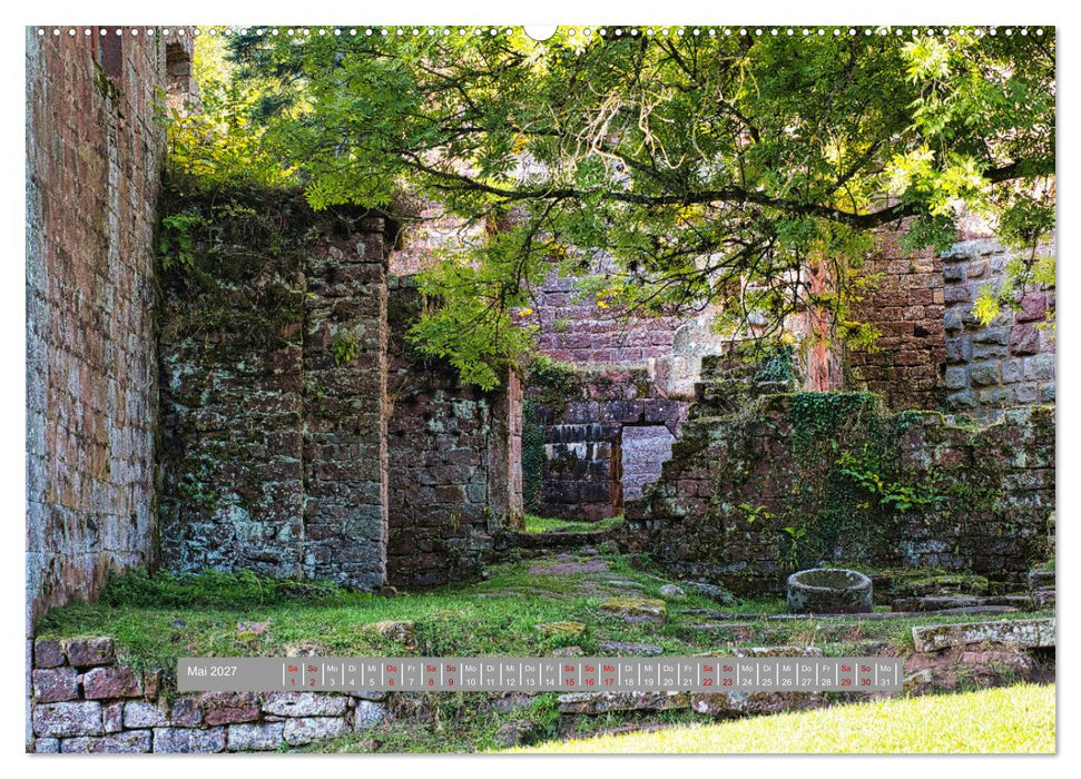 Burg Wildenberg (CALVENDO Premium Wandkalender 2027)