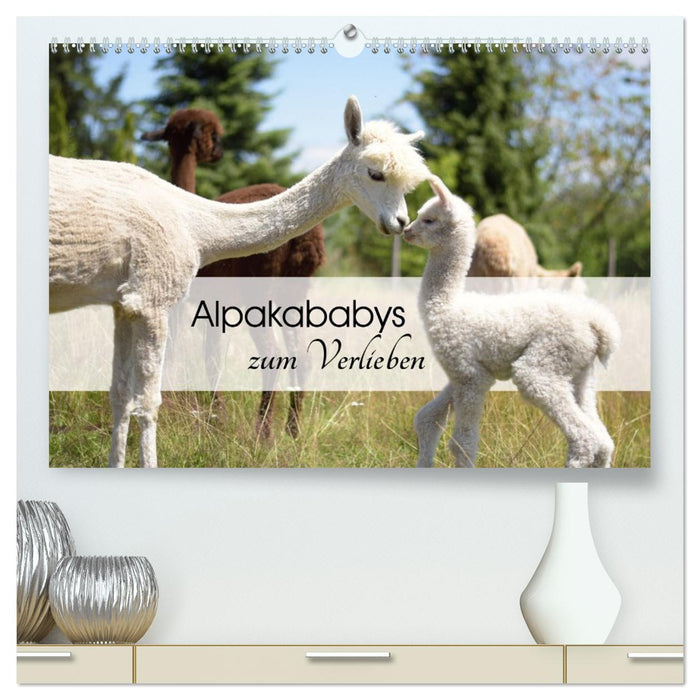 Alpakababys zum Verlieben (CALVENDO Premium Wandkalender 2027)