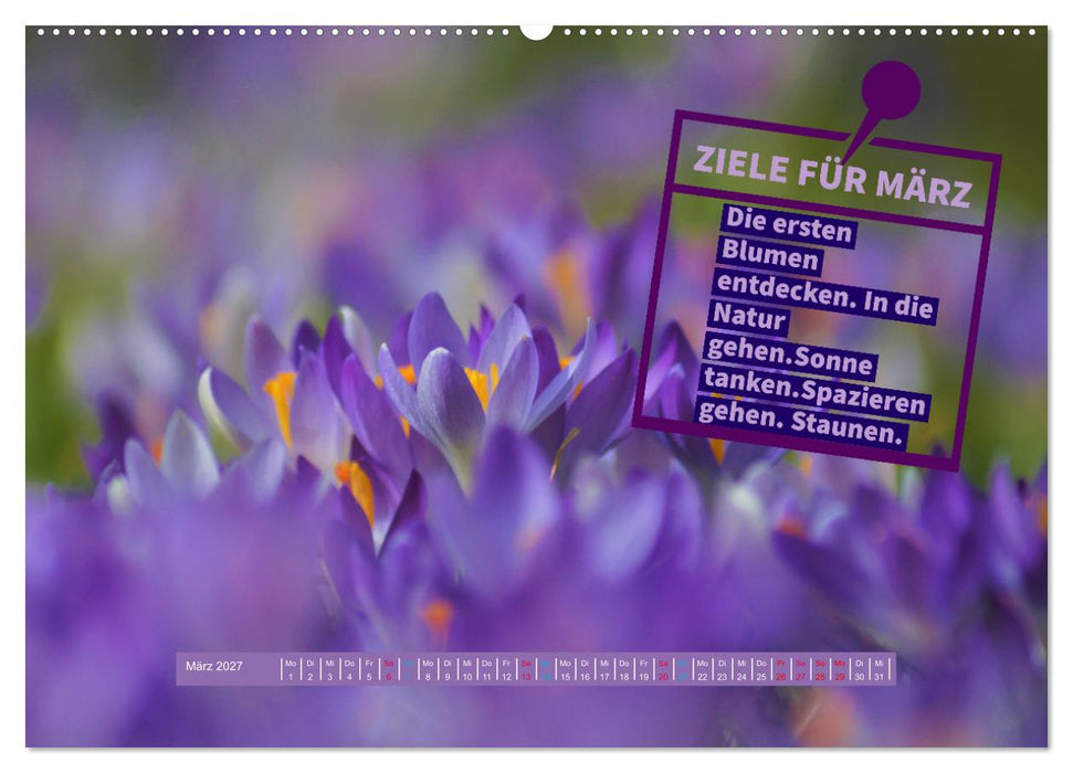 ZIELE Monat für Monat (CALVENDO Wandkalender 2027)