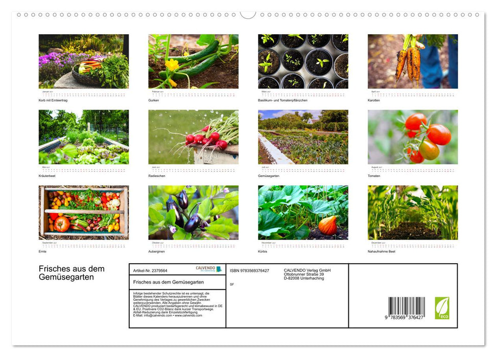 Frisches aus dem Gemüsegarten (CALVENDO Premium Wandkalender 2027)