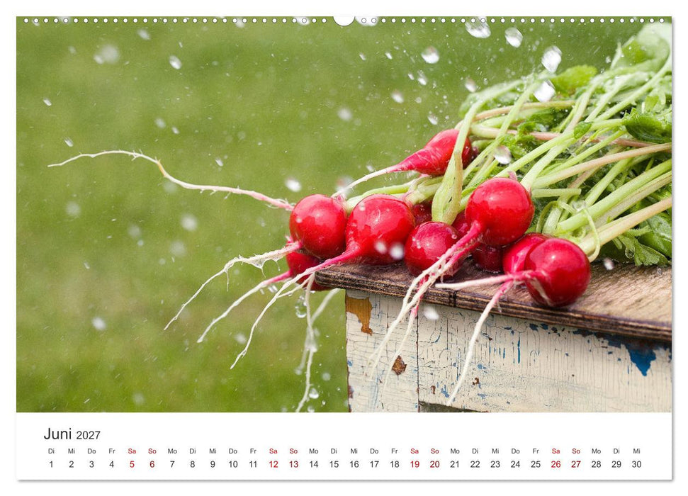 Frisches aus dem Gemüsegarten (CALVENDO Premium Wandkalender 2027)