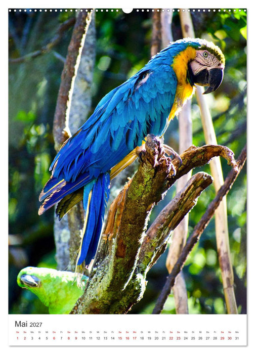 Eine Abenteuerreise durch Peru (CALVENDO Premium Wandkalender 2027)