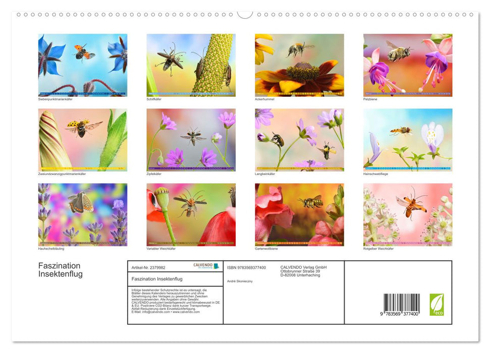 Faszination Insektenflug (CALVENDO Premium Wandkalender 2027)