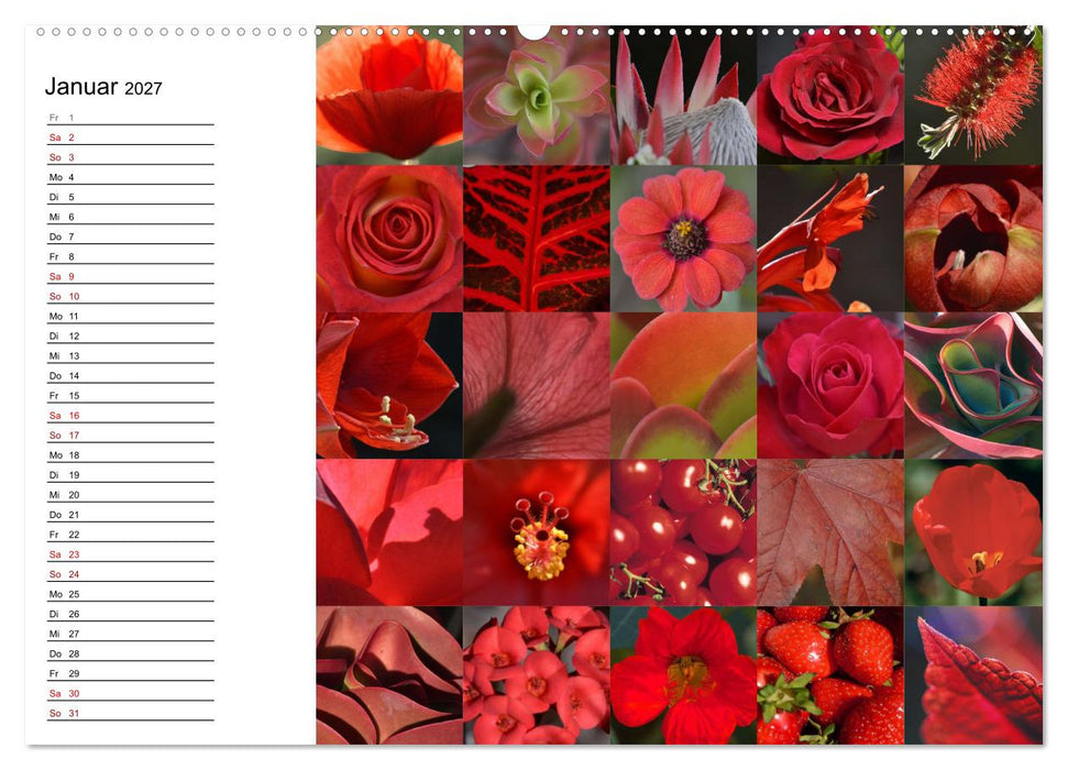 Farbenkaleidoskop (CALVENDO Wandkalender 2027)
