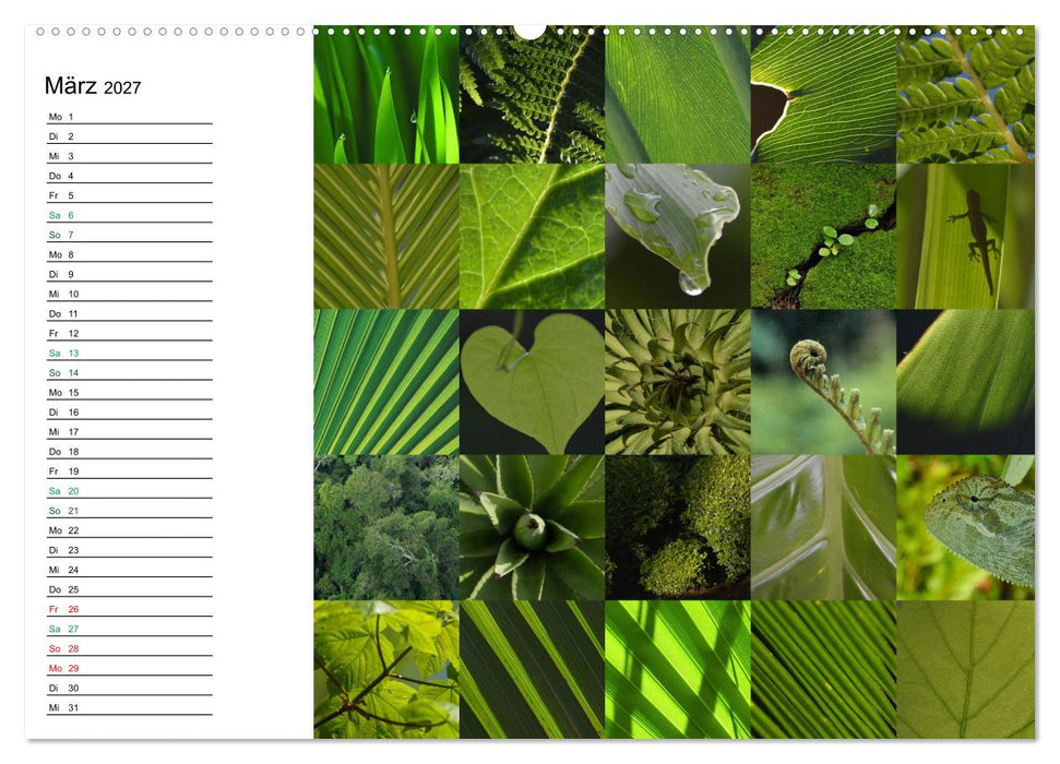 Farbenkaleidoskop (CALVENDO Wandkalender 2027)