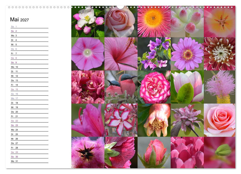 Farbenkaleidoskop (CALVENDO Wandkalender 2027)