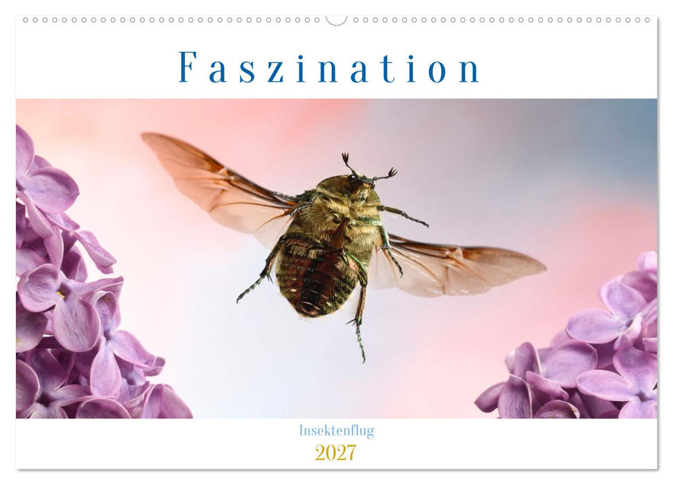 Faszination Insektenflug (CALVENDO Wandkalender 2027)