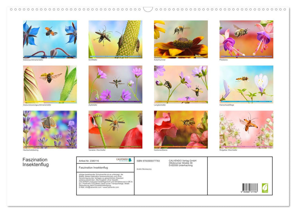 Faszination Insektenflug (CALVENDO Wandkalender 2027)