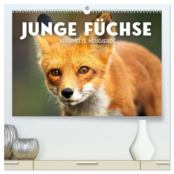 Junge Füchse - Verspielte Neugierde. (CALVENDO Premium Wandkalender 2027)