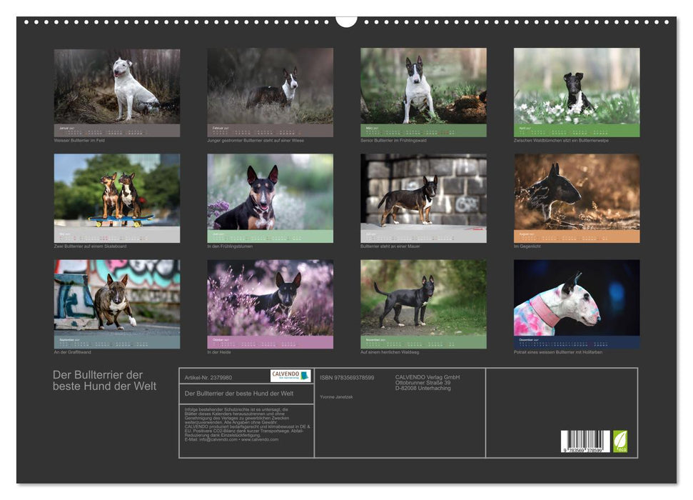 Der Bullterrier der beste Hund der Welt (CALVENDO Wandkalender 2027)
