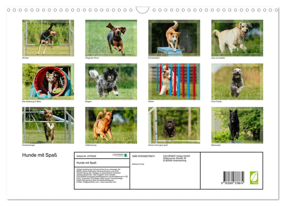 Hunde mit Spaß (CALVENDO Wandkalender 2027)