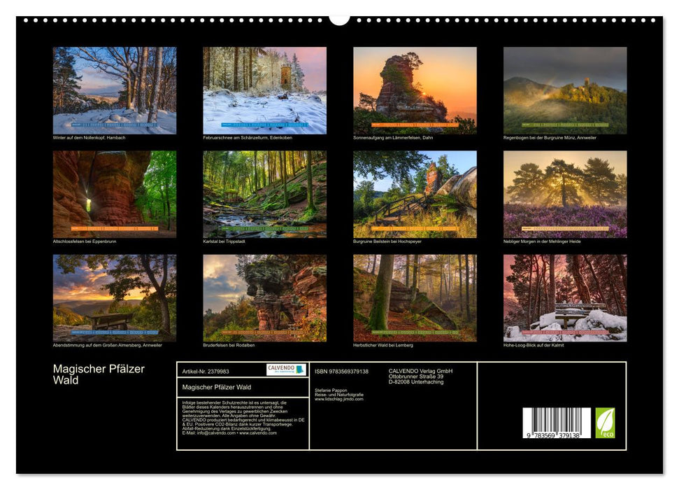 Magischer Pfälzer Wald (CALVENDO Premium Wandkalender 2027)