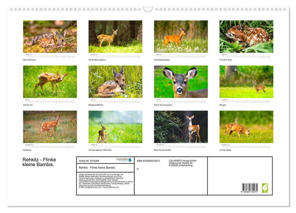 Rehkitz - Flinke kleine Bambis. (CALVENDO Wandkalender 2027)