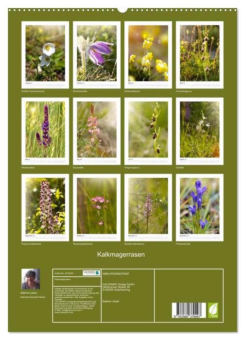 Kalkmagerrasen (CALVENDO Premium Wandkalender 2027)