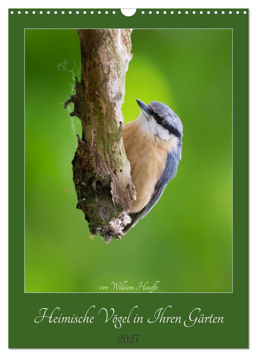 Heimische Vögel in Ihren Gärten (CALVENDO Wandkalender 2027)